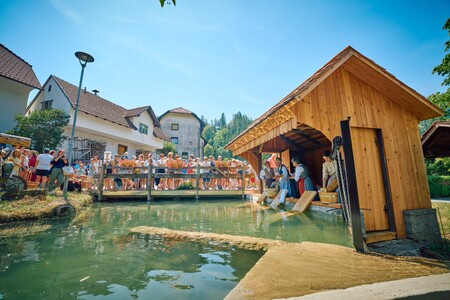 Perice med prikazom pranja na vaškem perišču (Foto Janez Kotar)